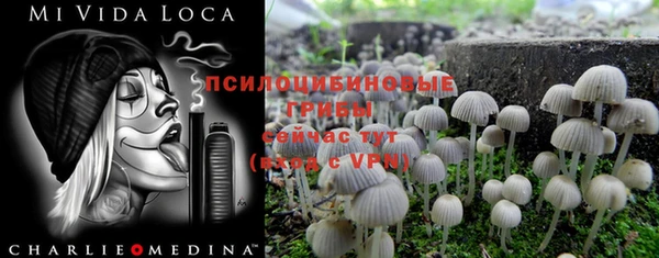 apvp Алексин