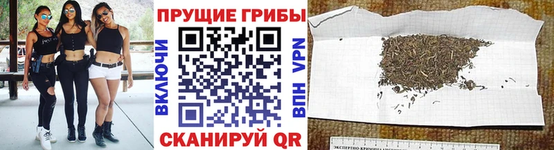 Галлюциногенные грибы Psilocybe  где продают   Арсеньев 